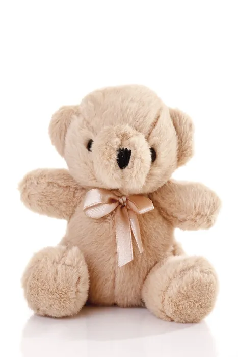 Framed Print : Teddy Bear Print by imageBROKER Framed Print : Teddy Bear Print by imageBROKER