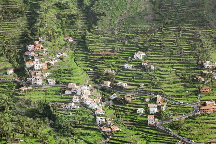 Framed Print : Valle Gran Rey Terraced Fields Print Framed Print : Valle Gran Rey Terraced Fields Print