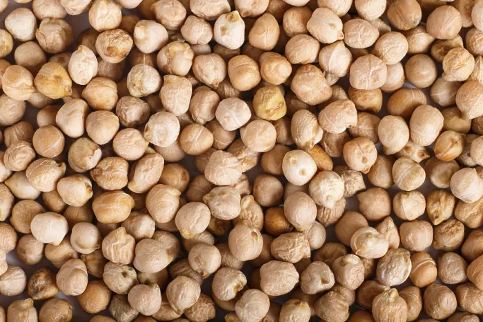Framed Print : Texture of Chickpeas Print - Top View Framed Print : Texture of Chickpeas Print - Top View