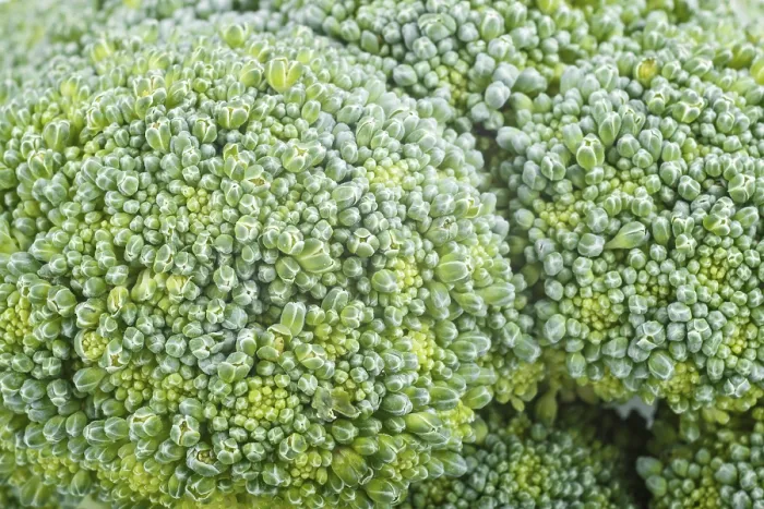 Framed Print : Macro Print of Fresh Green Broccoli Texture Framed Print : Macro Print of Fresh Green Broccoli Texture