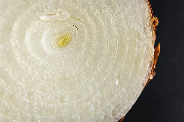 Framed Print : Macro Photography Print: Onion Texture Detail Framed Print : Macro Photography Print: Onion Texture Detail