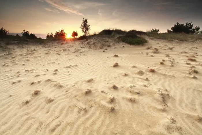 Framed Print : Summer Sunset Sand Dune Texture Print Framed Print : Summer Sunset Sand Dune Texture Print