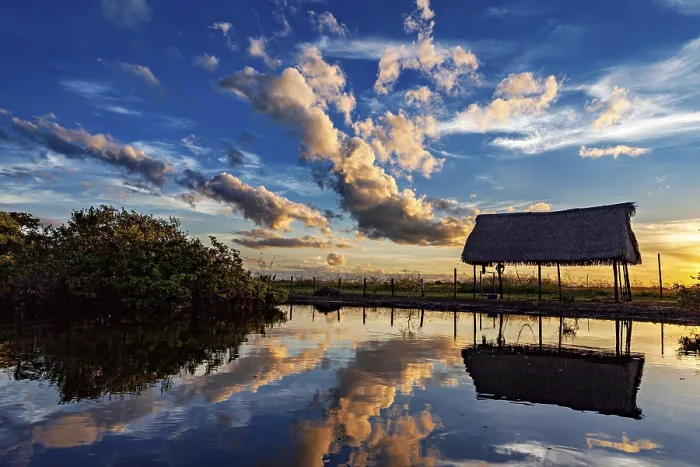 Framed Print : Amazon Pampas Sunset Print