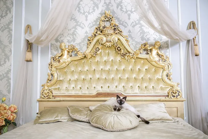 Framed Print : Luxury and Wealth Print: Cat at Versailles Palace Framed Print : Luxury and Wealth Print: Cat at Versailles Palace
