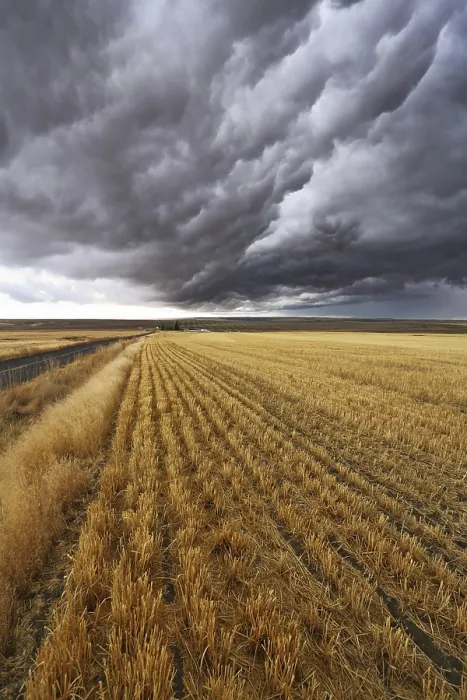 Framed Print : Thunderclouds above fields after harvesting Print, Montana, USA Framed Print : Thunderclouds above fields after harvesting Print, Montana, USA