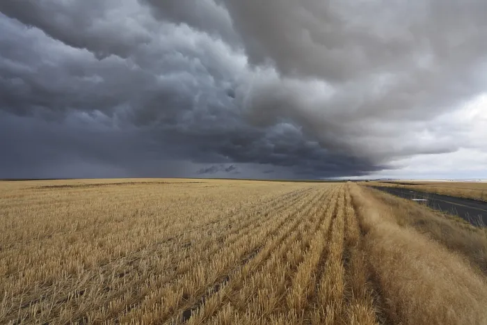Framed Print : Thunderclouds above fields after harvesting Print, Montana, USA Framed Print : Thunderclouds above fields after harvesting Print, Montana, USA