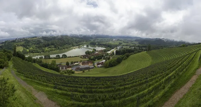 Framed Print : Austrian Vineyard Panorama Print Framed Print : Austrian Vineyard Panorama Print