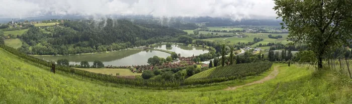 Framed Print : Thunderclouds over Vineyard Print, Austria Framed Print : Thunderclouds over Vineyard Print, Austria