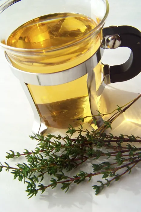 Framed Print : Thyme Tea Print Framed Print : Thyme Tea Print