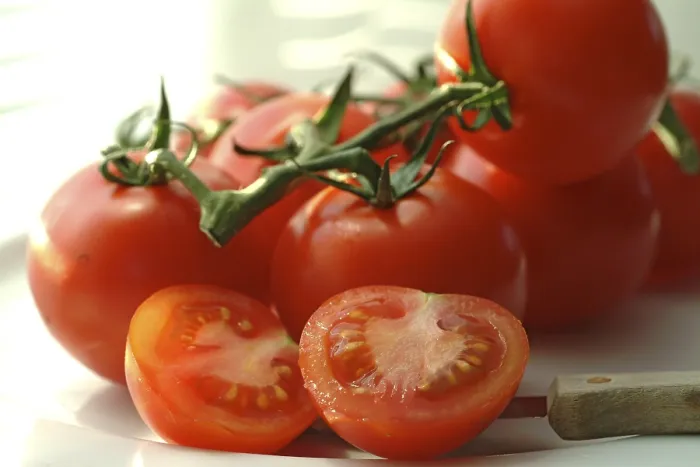 Framed Print : Tomatoes Print by ImageBROKER Framed Print : Tomatoes Print by ImageBROKER
