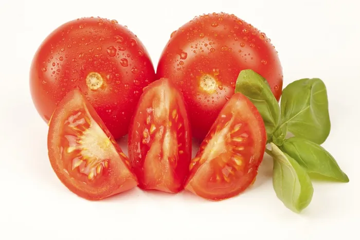 Framed Print : Tomatoes with Basil Print Framed Print : Tomatoes with Basil Print