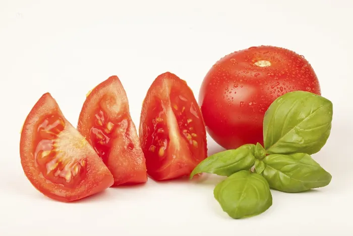 Framed Print : Tomatoes with Basil Print Framed Print : Tomatoes with Basil Print