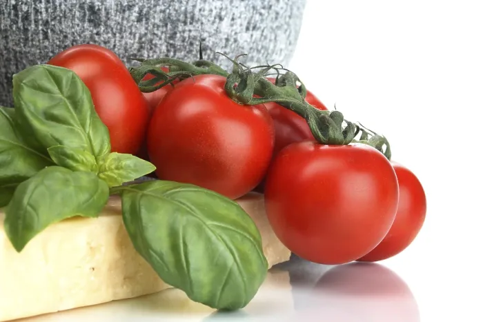 Framed Print : Tomatoes and Basil Print Framed Print : Tomatoes and Basil Print