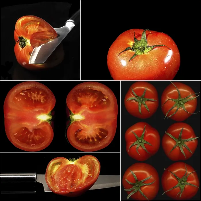 Framed Print : Tomatoes Collage Composition Print on Black Square Frame Framed Print : Tomatoes Collage Composition Print on Black Square Frame