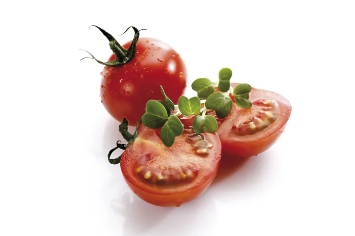 Framed Print : Tomatoes and Cress Print Framed Print : Tomatoes and Cress Print