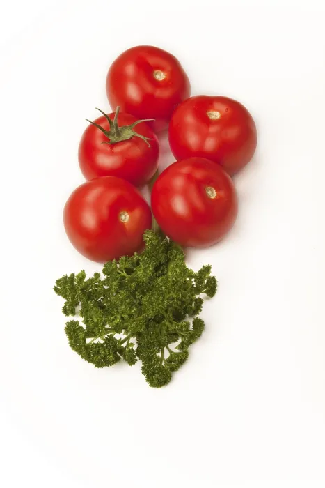 Framed Print : Tomatoes with Parsley Print Framed Print : Tomatoes with Parsley Print