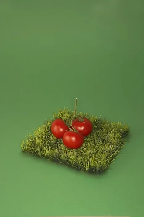 Framed Print : Tomatoes on a piece of Grass Print Framed Print : Tomatoes on a piece of Grass Print