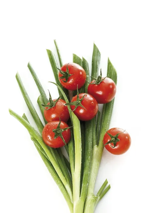 Framed Print : Tomatoes and Spring Onions Print Framed Print : Tomatoes and Spring Onions Print