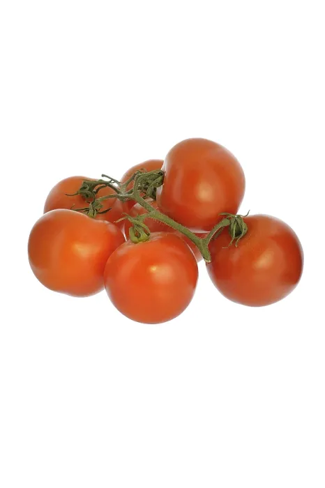 Framed Print : Tomato Print, White Background Studio Shot Framed Print : Tomato Print, White Background Studio Shot