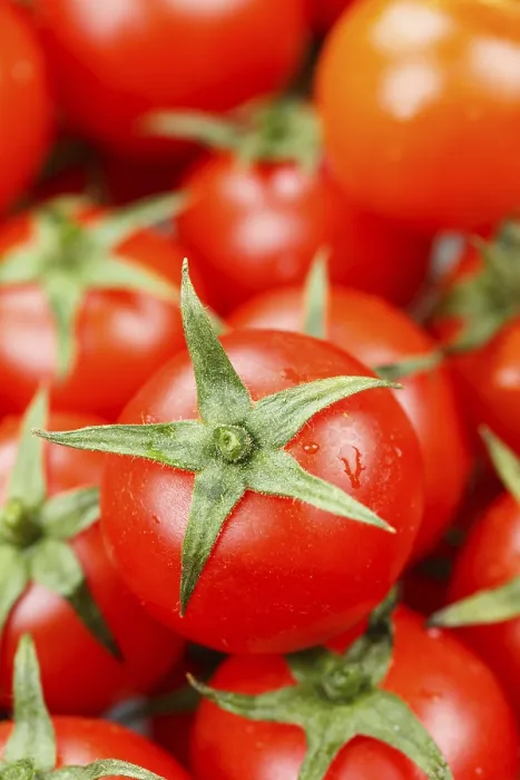 Framed Print : Tomatoes from Above Print Framed Print : Tomatoes from Above Print