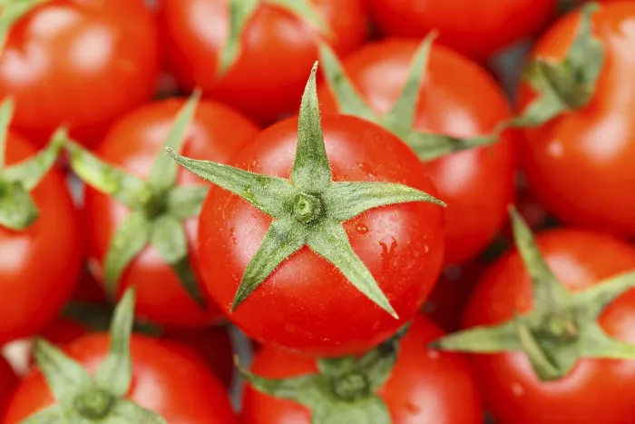 Framed Print : Tomato Vegetable Print from Above Framed Print : Tomato Vegetable Print from Above