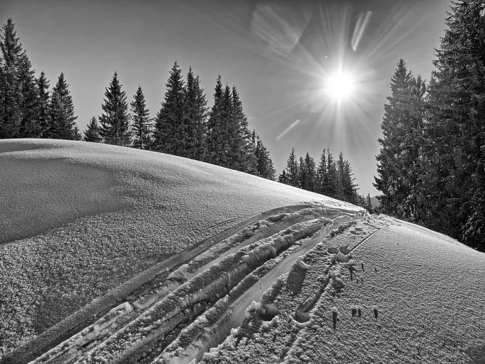 Framed Print : Black and White Ski Print, Bavaria Framed Print : Black and White Ski Print, Bavaria