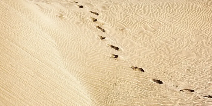 Framed Print : Traces in the Sand Print, Morocco