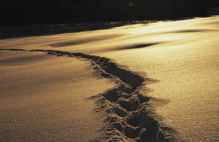 Framed Print : Track in Deep Snow at Sunset Print Framed Print : Track in Deep Snow at Sunset Print