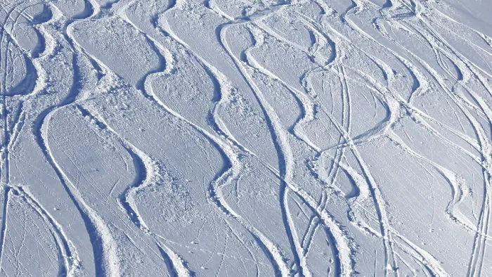 Framed Print : Tracks in the Snow Print Framed Print : Tracks in the Snow Print