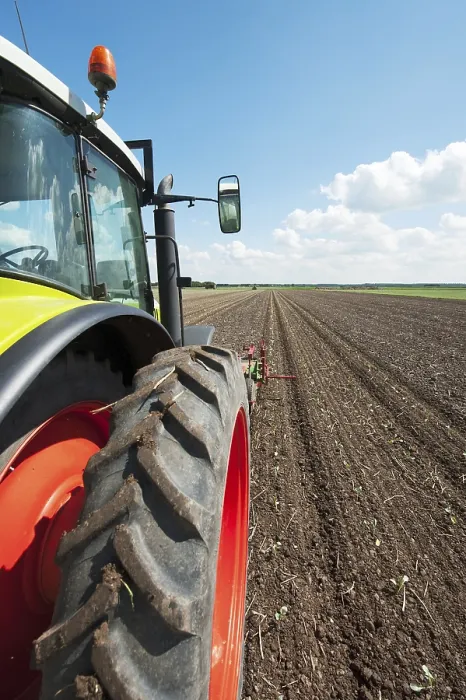 Framed Print : Tractor in Vegetable Fields Print Framed Print : Tractor in Vegetable Fields Print