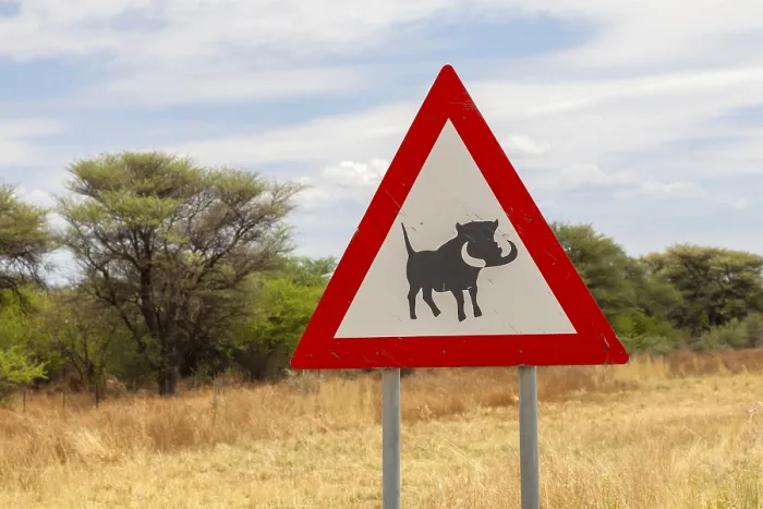Framed Print : Namibia Traffic Sign Print - Warthog Warning Framed Print : Namibia Traffic Sign Print - Warthog Warning