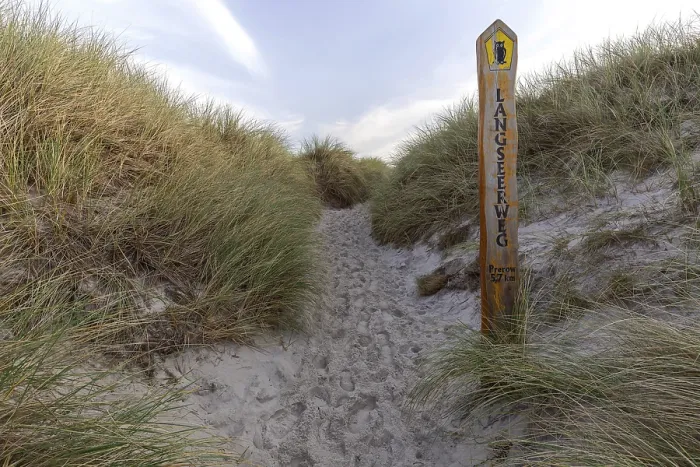 Framed Print : Marram Grass Trail to the Beach Print, Germany Framed Print : Marram Grass Trail to the Beach Print, Germany