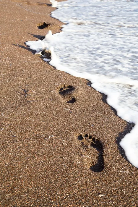 Framed Print : Trail of Footsteps on the Beach Print Framed Print : Trail of Footsteps on the Beach Print