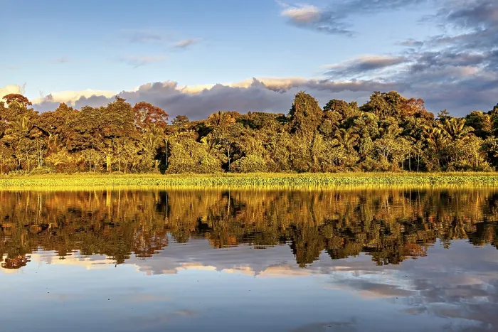 Framed Print : Tranquil River Scene Print, Beni River Bolivia Framed Print : Tranquil River Scene Print, Beni River Bolivia
