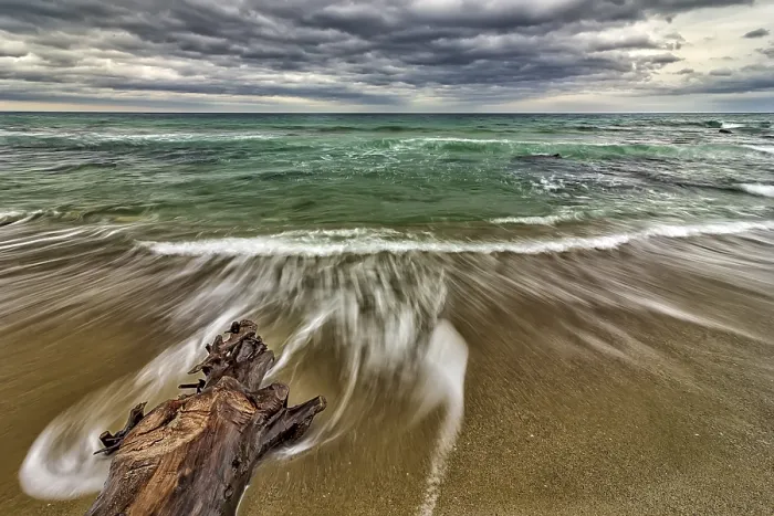 Framed Print : Tree on the Beach with Waves Spill Print
