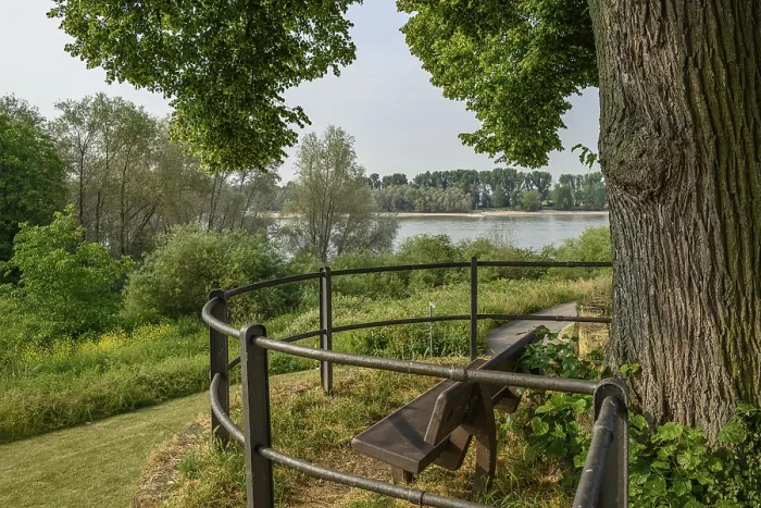 Framed Print : Rees, Germany Print: Lush River Scene with Tree and Bench Framed Print : Rees, Germany Print: Lush River Scene with Tree and Bench