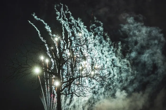 Framed Print : Tree Fireworks Print Framed Print : Tree Fireworks Print