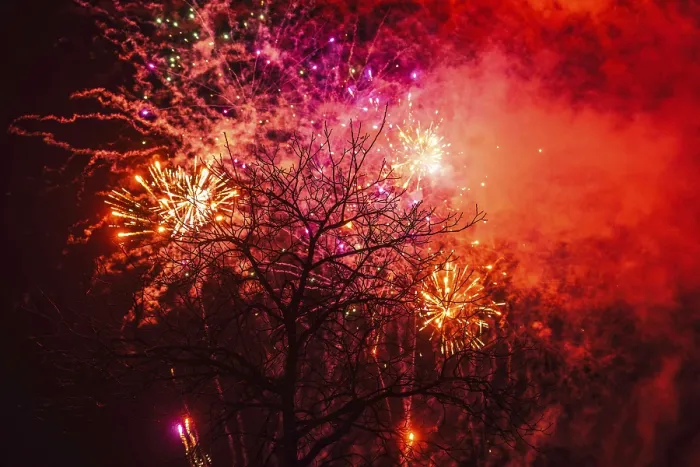 Framed Print : Tree Fireworks Print Framed Print : Tree Fireworks Print