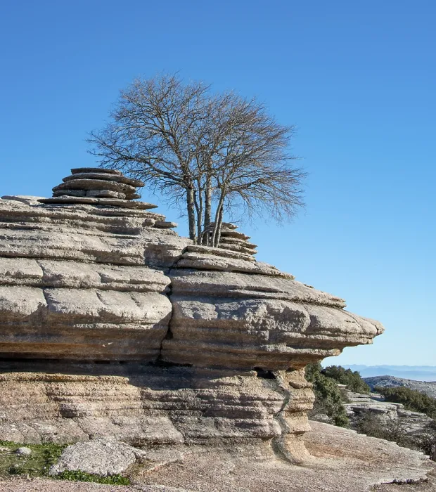 Framed Print : Limestone Landscape with Tree Print, El Torcal Nature Reserve, Spain Framed Print : Limestone Landscape with Tree Print, El Torcal Nature Reserve, Spain