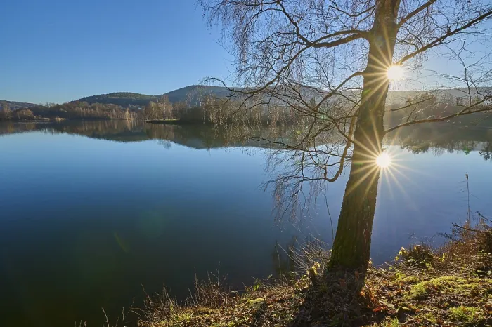 Framed Print : Tree on lake with sun, Print of Freudenberg am Main, Germany Framed Print : Tree on lake with sun, Print of Freudenberg am Main, Germany