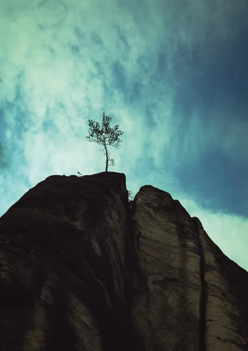 Framed Print : Tree on the top of the mountain rock Print Framed Print : Tree on the top of the mountain rock Print