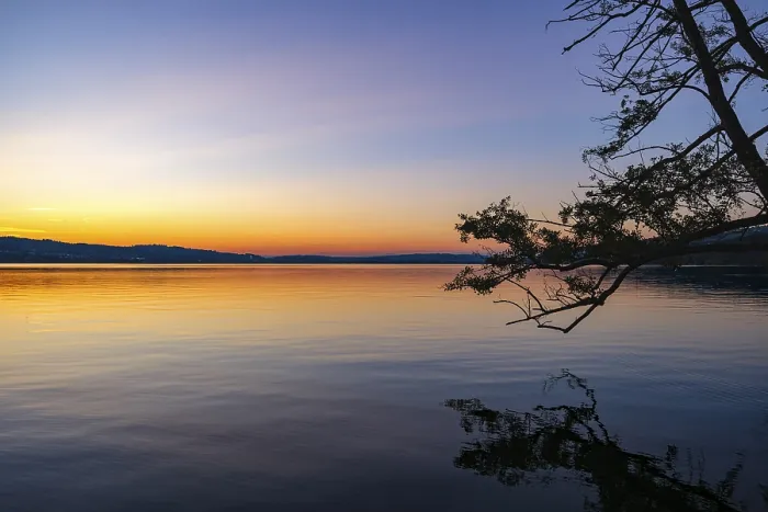 Framed Print : Tree Print: Lake Sempach Sunset Reflection Framed Print : Tree Print: Lake Sempach Sunset Reflection