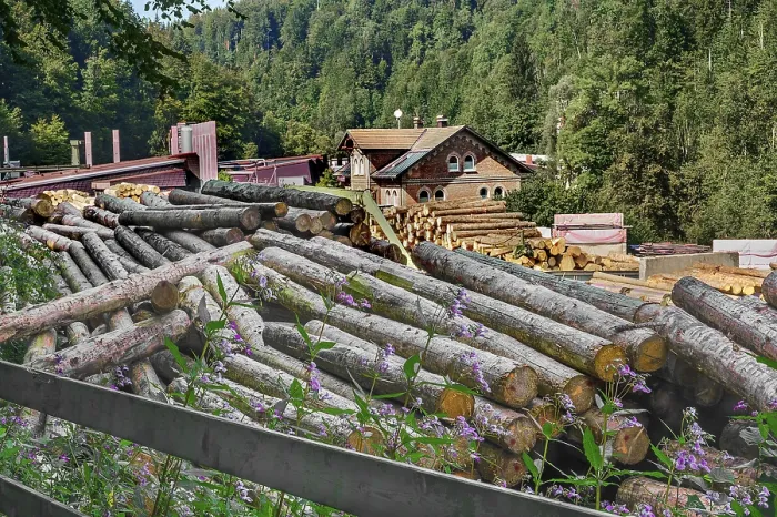 Framed Print : Tree Trunks at a Sawmill Print, Allgau, Bavaria