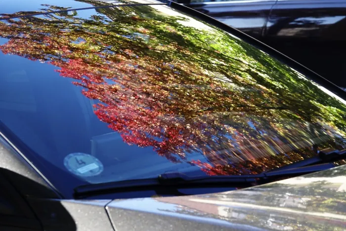 Framed Print : Autumn Colours Reflected in Windscreen Print, Germany Framed Print : Autumn Colours Reflected in Windscreen Print, Germany