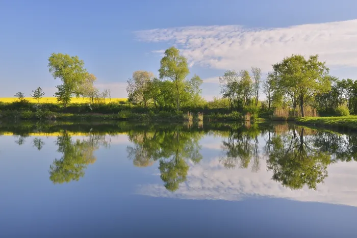 Framed Print : Trees and Cloud reflected in Lake Print, Obernburg, Germany Framed Print : Trees and Cloud reflected in Lake Print, Obernburg, Germany