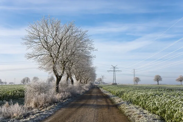 Framed Print : Trees and landscape with hoarfrost, Berkum, Germany Print Framed Print : Trees and landscape with hoarfrost, Berkum, Germany Print