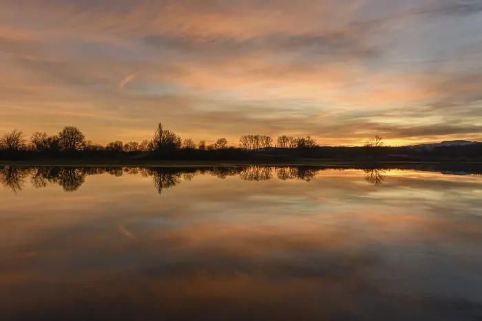 Framed Print : Winter Landscape Print: Trees Reflected at Sunset Framed Print : Winter Landscape Print: Trees Reflected at Sunset