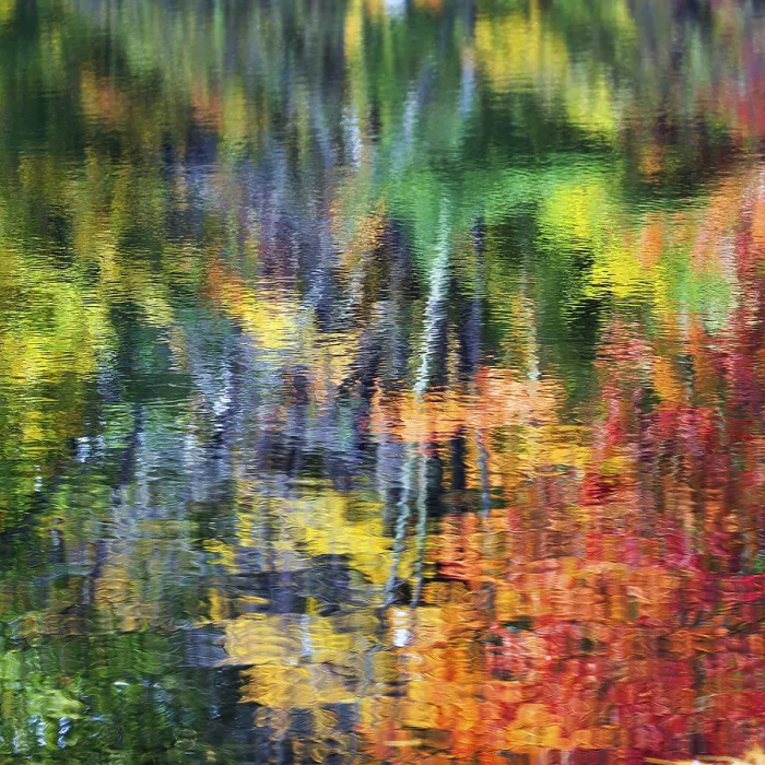 Framed Print : Autumn Reflections Print, Maine River Landscape Framed Print : Autumn Reflections Print, Maine River Landscape