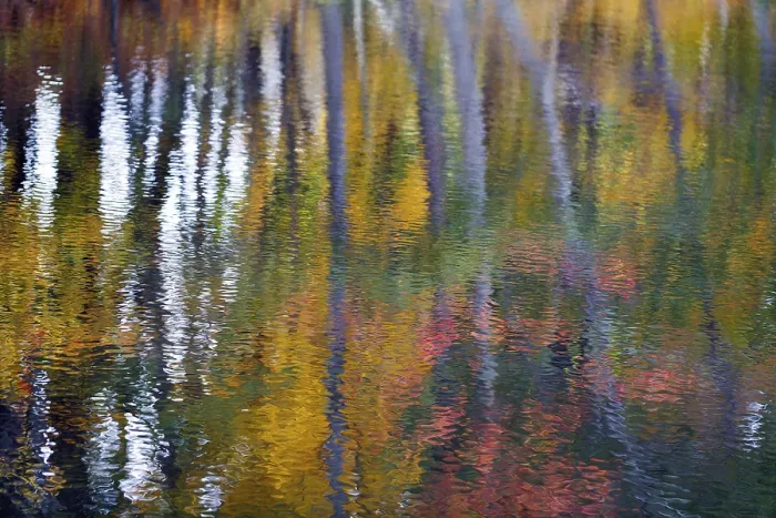 Framed Print : Autumn Reflections Print, Maine River Landscape Framed Print : Autumn Reflections Print, Maine River Landscape
