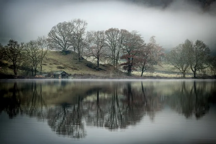 Framed Print : Rydal Water Trees Reflected Print Framed Print : Rydal Water Trees Reflected Print